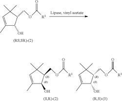 Kinetic resolution reaction of a (1RS,2SR)-(2-hydroxy-3,5,5-trimethyl-3-cyclopentenyl)methyl carboxylate compound, a process for preparing optically active trans-α-necrodyl isobutyrate, and a process for preparing optically active γ-necrodyl isobutyrate