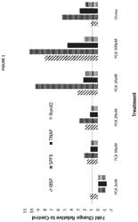 COMPOSITIONS FOR THE TREATMENT OF NON-ARTICULAR CARTILAGE-ASSOCIATED BONE CONDITIONS