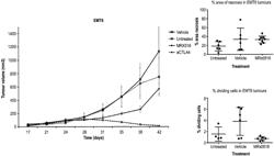 COMBINATION THERAPY FOR TREATING OR PREVENTING CANCER