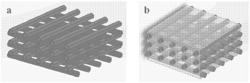 VASCULAR STRUCTURE-CONTAINING LARGE-SCALE BIOLOGICAL TISSUE AND CONSTRUCTION METHOD THEREOF