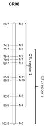 LETTUCE PLANTS HAVING RESISTANCE TO NASONOVIA RIBISNIGRI BIOTYPE NR:1