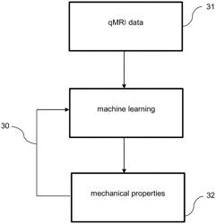 SYSTEM FOR DETERMING MECHANICAL TISSUE CHARACTERISTICS FROM IMAGING DATA