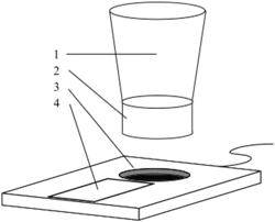 Method for brewing hot beverages using ultrasound