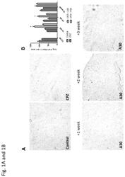 Methods of modulating pericytes