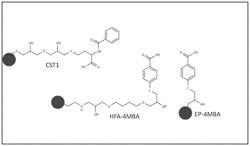 Potato protein isolates