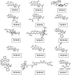 USE OF OLIGOCHITOSANS AND DERIVATIVES THEREOF FOR NEUTRALIZING VIRAL AGENTS