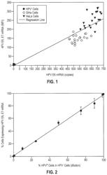 HPV E6, E7 MRNA Assay and Methods of Use Thereof