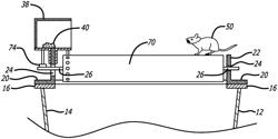 Vermin trap with magnetic release