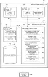 Endoscope apparatus and operating method of endoscope apparatus