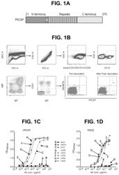 Neutralizing antibodies to plasmodium falciparum circumsporozoite protein and their use