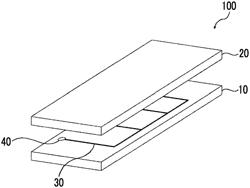 EDIBLE OIL-ENCAPSULATING MICROCAPSULES, MICROCAPSULE DISPERSION LIQUID, MANUFACTURING METHOD OF EDIBLE OIL-ENCAPSULATING MICROCAPSULES, AND MEAT SUBSTITUTE