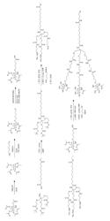 THERAPEUTIC COMBINATION OF GALNAC-OLIGONUCLEOTIDE CONJUGATE AND SAPONIN, AND USES THEREOF