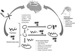 CYCLIC PEPTIDES AND CYCLIC PEPTIDE CONJUGATES FOR TREATING NEUROLOGICAL DISORDERS