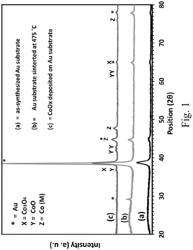 ELECTRODE HAVING SINTERED GOLD NANOSTRUCTURE