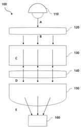 FLUORESCENT AMPLIFICATION DEVICE USING SURFACE PLASMON RESONANCE AND OPTICAL AMPLIFICATION DEVICE USING SAME