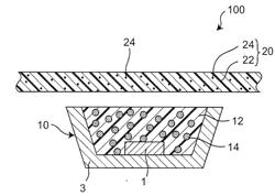 LIGHT EMITTING DEVICE