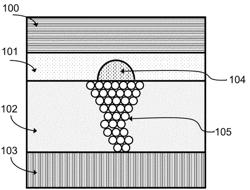 PREPARATION METHOD OF BIPOLAR GATING MEMRISTOR AND BIPOLAR GATING MEMRISTOR