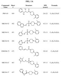 Small molecule inhibitors of the nuclear translocation of androgen receptor for the treatment of castration-resistant prostate cancer