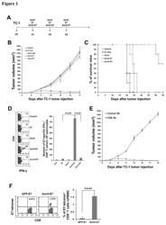 Methods for enhancing antigen-specific immune responses