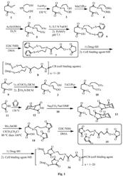 Conjugates of cell binding molecules with cytotoxic agents
