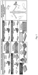 Biomaterial substrates, cell culture systems comprising the same and uses thereof in cell screening applications