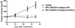 DOSING SCHEDULE FOR A METHOD OF TREATMENT WITH DHODH INHIBITORS