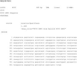 Porcine Circovirus Type 3 (PCV3) Vaccines, and Production and Uses Thereof