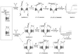 METHODS, COMPOSITIONS, KITS AND SYSTEMS FOR SIGNAL-ON DETECTION OF NEUTRALIZATION TARGETS