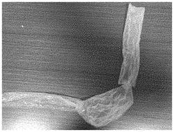 Bionic Digestive Tract as well as Preparation Method and Application Thereof