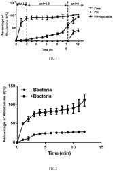 Oral colon-targeted delivery system and preparation method and application thereof