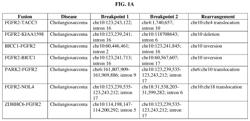 Methods of treating cholangiocarcinoma