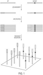 Safe sequencing system