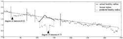 Prediction method for healthy radius of blood vessel path, prediction method for candidate stenosis of blood vessel path, and blood vessel stenosis degree prediction device