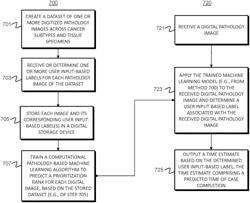 Systems and methods for processing electronic images