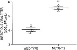 Hemagglutinin Modifications for Improved Influenza Vaccine Production