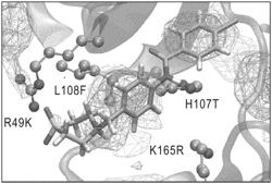 NON-ATP/CATALYTIC SITE p38 MITOGEN ACTIVATED PROTEIN KINASE INHIBITORS