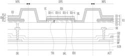 DISPLAY DEVICE