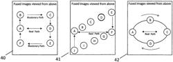 Animated stereoscopic illusionary therapy and entertainment