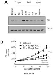 Method of treating cancer using selective estrogen receptor modulators