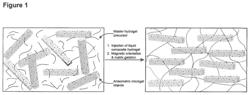 Macroscopically alignable, injectable, soft hydrogel composition