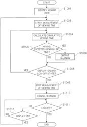 Information processing terminal and system