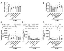 N-ACYL AMINO ACID PRODUCTS AND USES