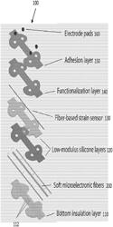 Stretchable Microelectronic Fibers and Their Assemblies as Multifunctional Bioelectronic Interfaces for Whole Organs