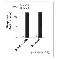 Method for Improving Olfactory Sensitivity