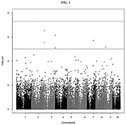 Methods and products for controlling silk fly and phorid fly in maize