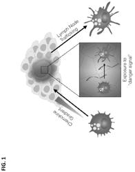 Peritumoral and intratumoral materials for cancer therapy