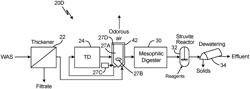 Struvite recovery and phosphorus management techniques for wastewater treatment plants