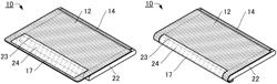 Display device, electronic device, and system