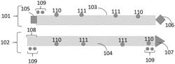 Modified Short Interfering Nucleic Acid (siNA) Molecules and Uses Thereof