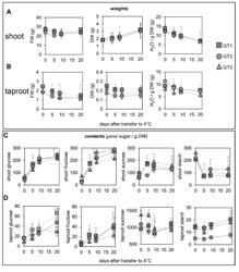 METHOD FOR INCREASING COLD OR FROST TOLERANCE IN A PLANT